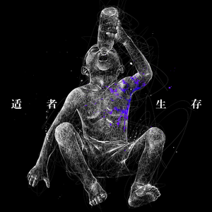 在线免费成人ar视频
