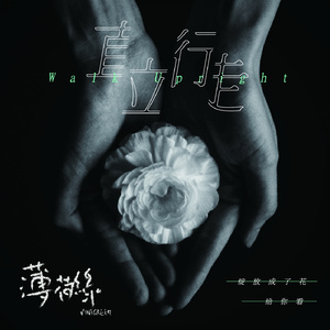 在线免费成人ar视频
