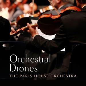 在线免费成人ar视频
